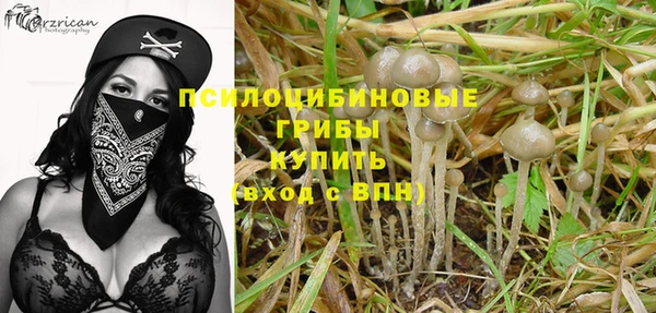молекула духа Волосово