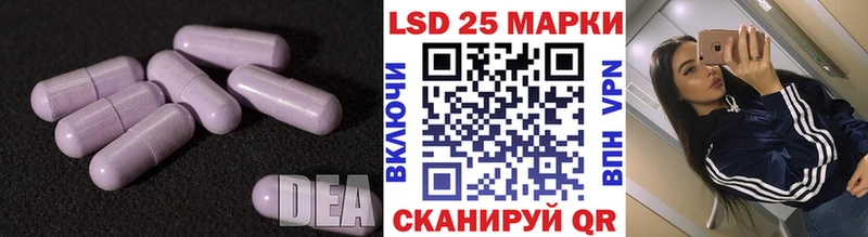 где купить наркоту  Владимир  ЛСД экстази ecstasy 