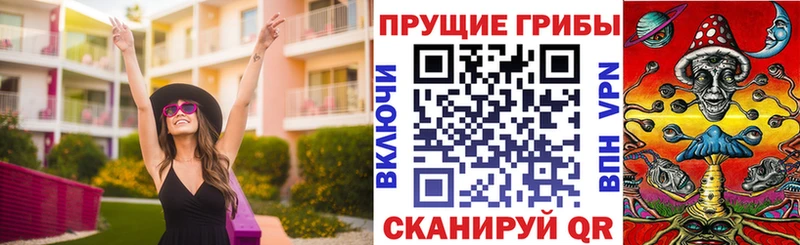 Галлюциногенные грибы Psilocybine cubensis  даркнет формула  Владимир  mega онион 