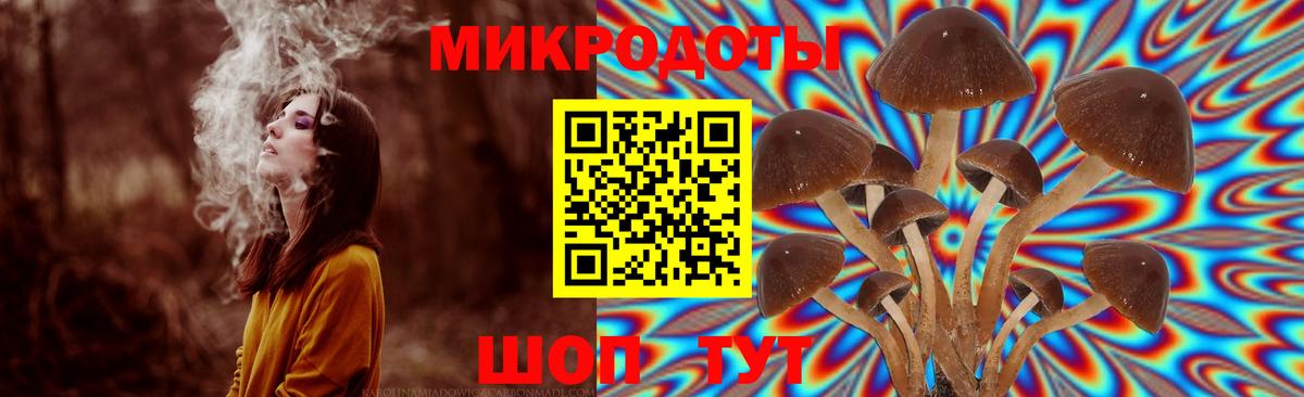 Владимир  Галлюциногенные грибы Cubensis  Вход с VPN 